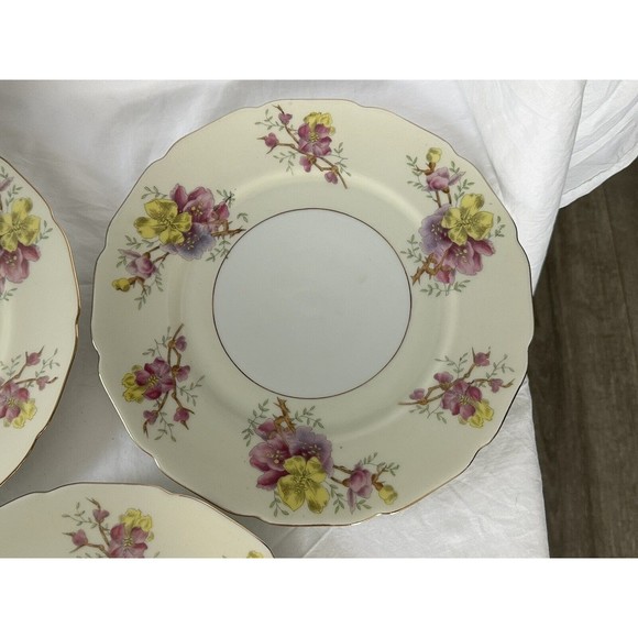 3 Apple Blossom (Cream Background) by BLACK KNIGHT Dinner Plate Made in Germany - Picture 4 of 9